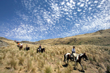 Argentina-Cordoba/Mendoza-Bell Stone Estancias Ride